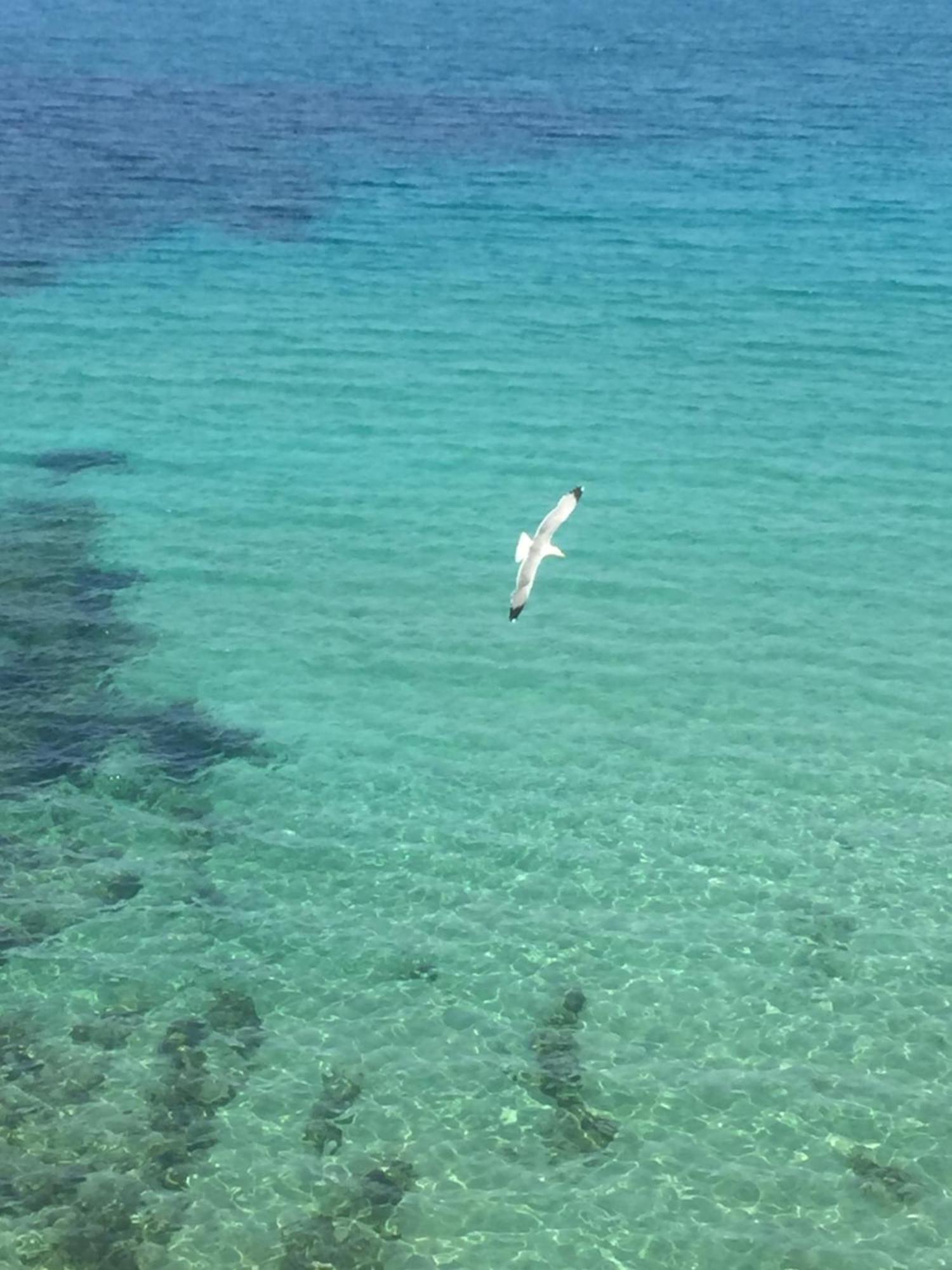 Sol Y Mar Camere E Appartamenti カステッランマーレ・デル・ゴルフォ エクステリア 写真